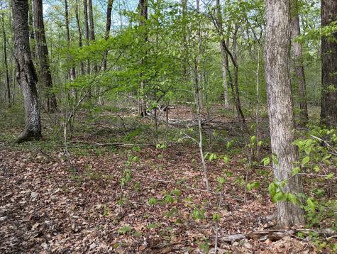 Litchfield Road Watertown CT 06795