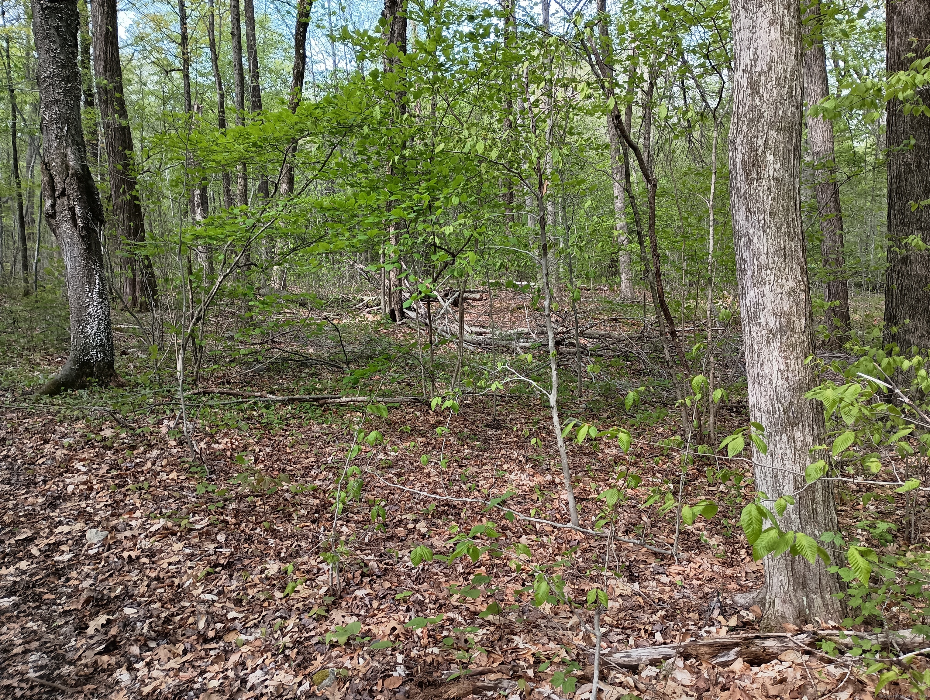 Litchfield Road Watertown CT 06795