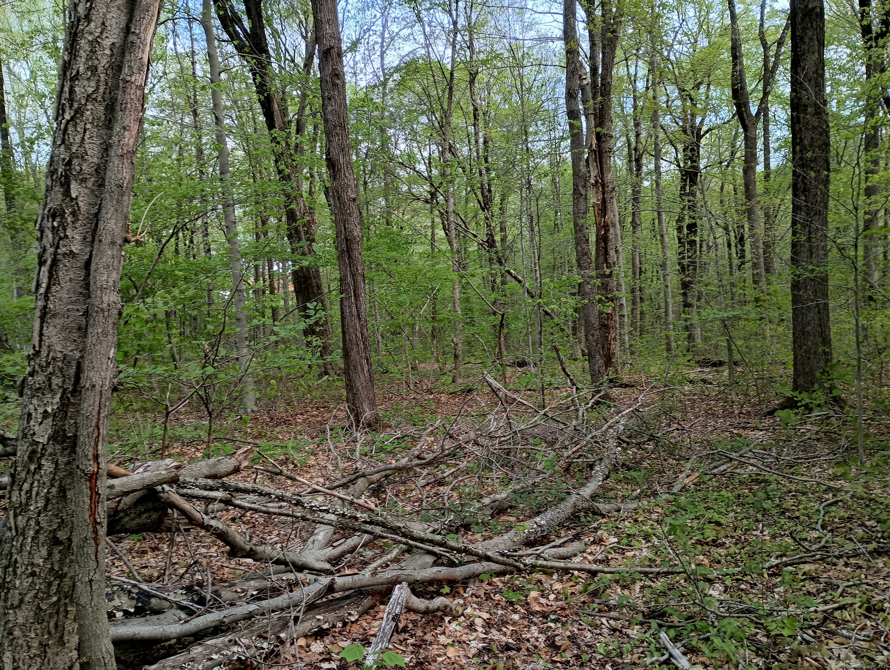 Litchfield Road Watertown CT 06795