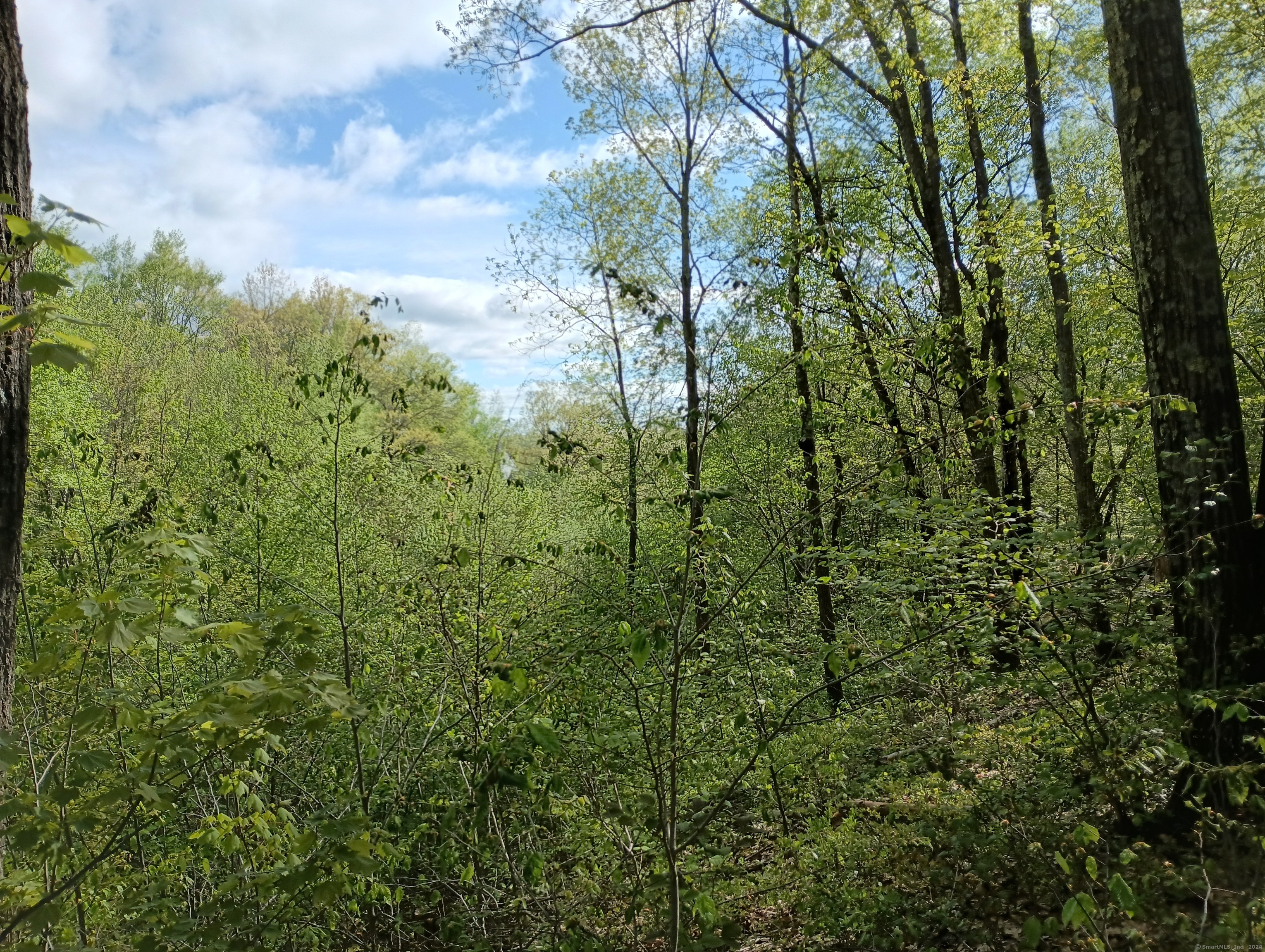 Litchfield Road Watertown CT 06795