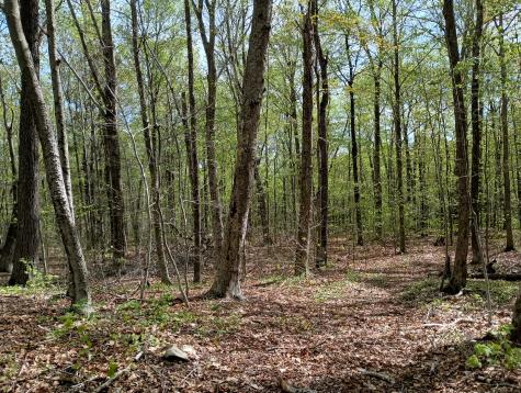 Litchfield Road Watertown CT 06795