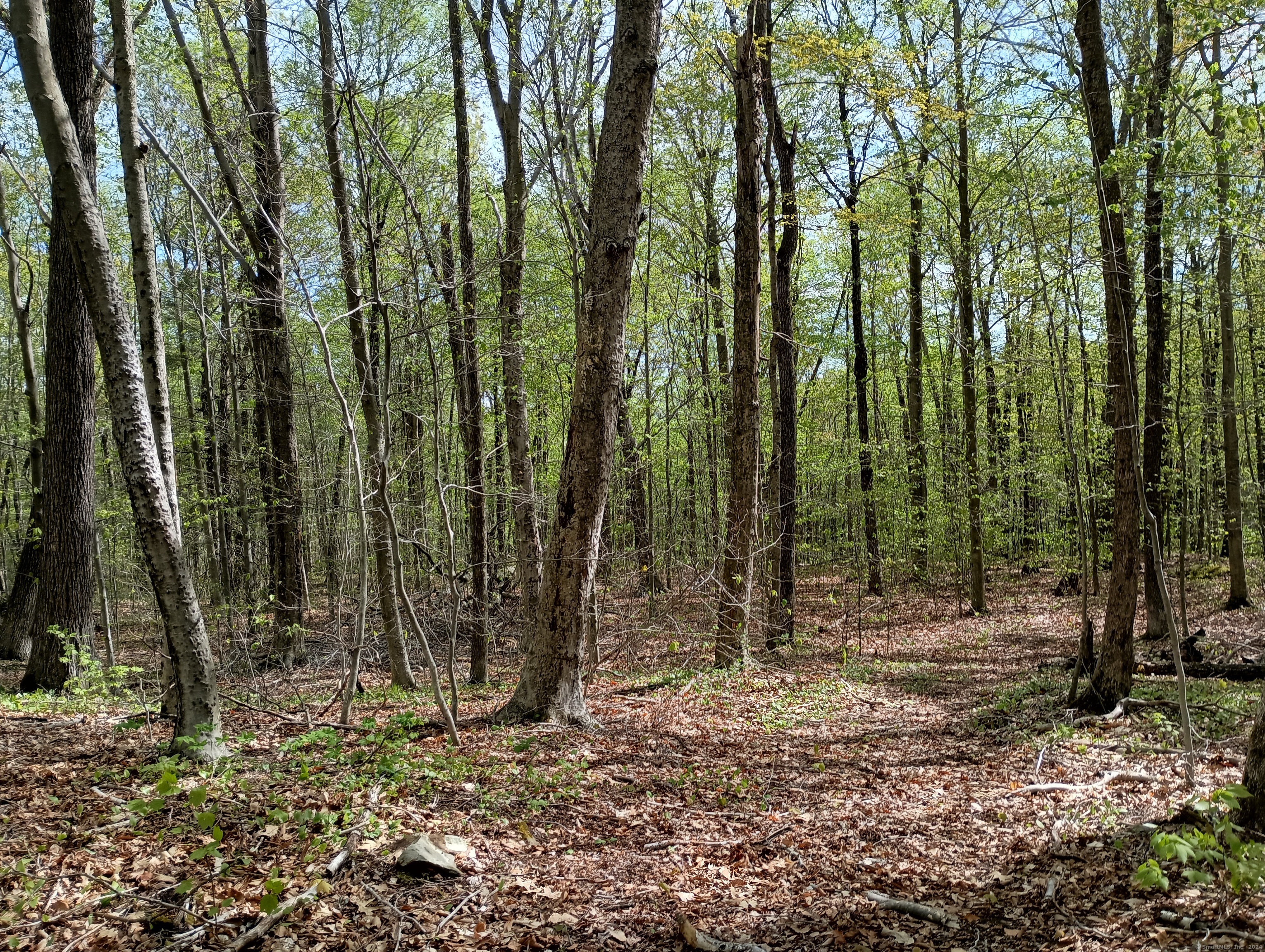 Litchfield Road Watertown CT 06795