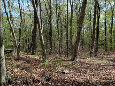 Litchfield Road Watertown CT 06795