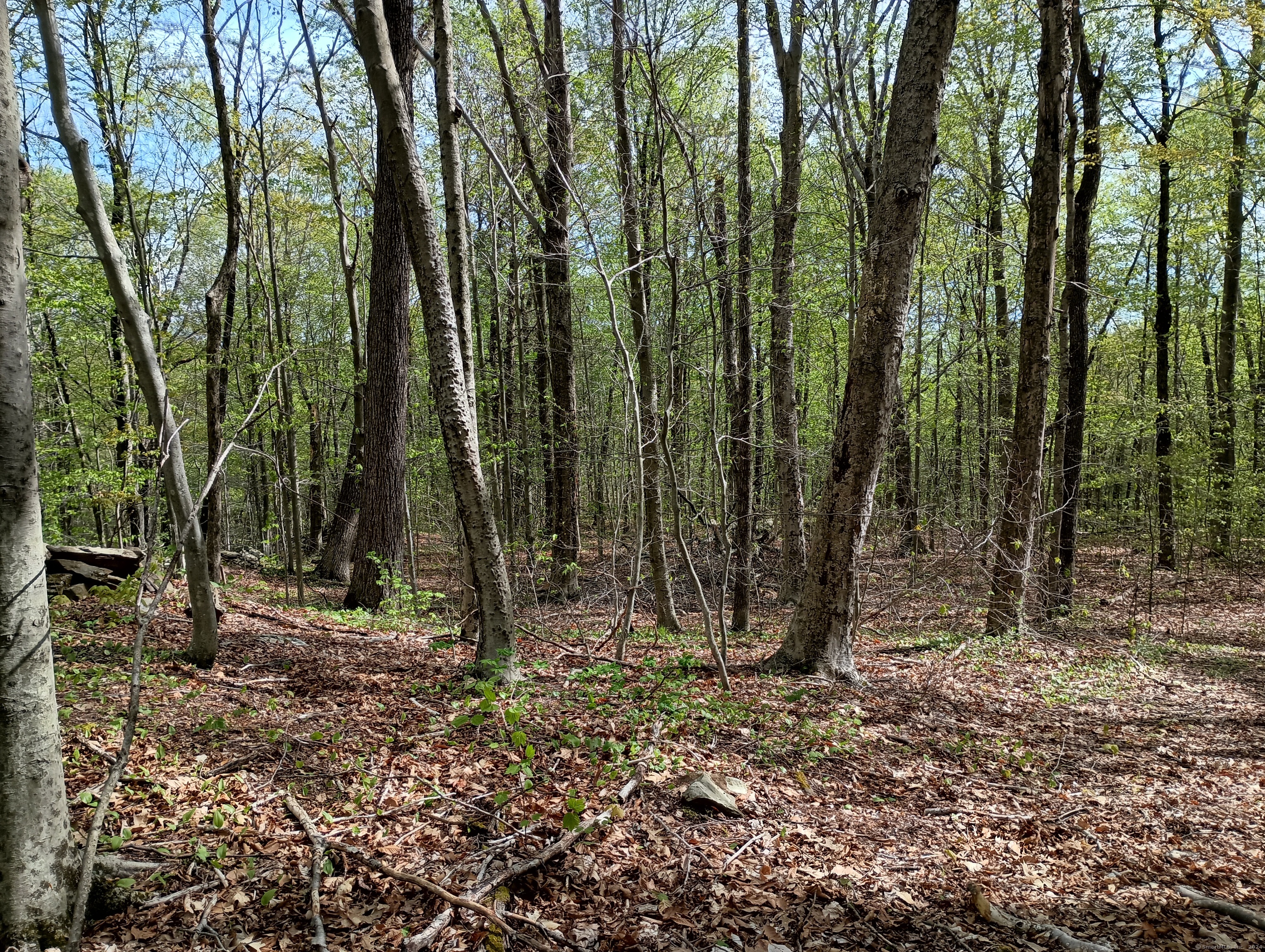 Litchfield Road Watertown CT 06795