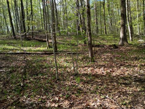Litchfield Road Watertown CT 06795
