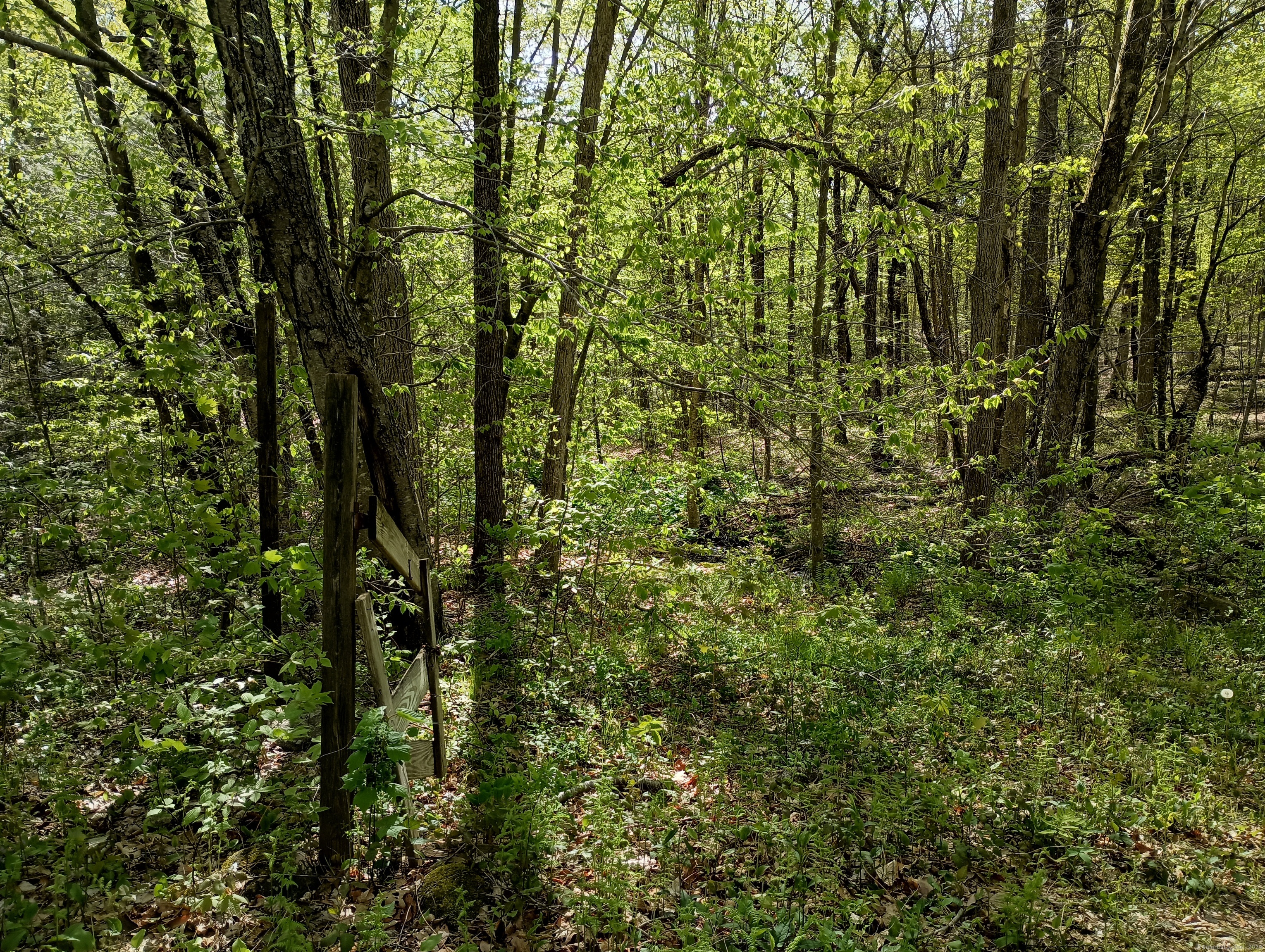 Litchfield Road Watertown CT 06795