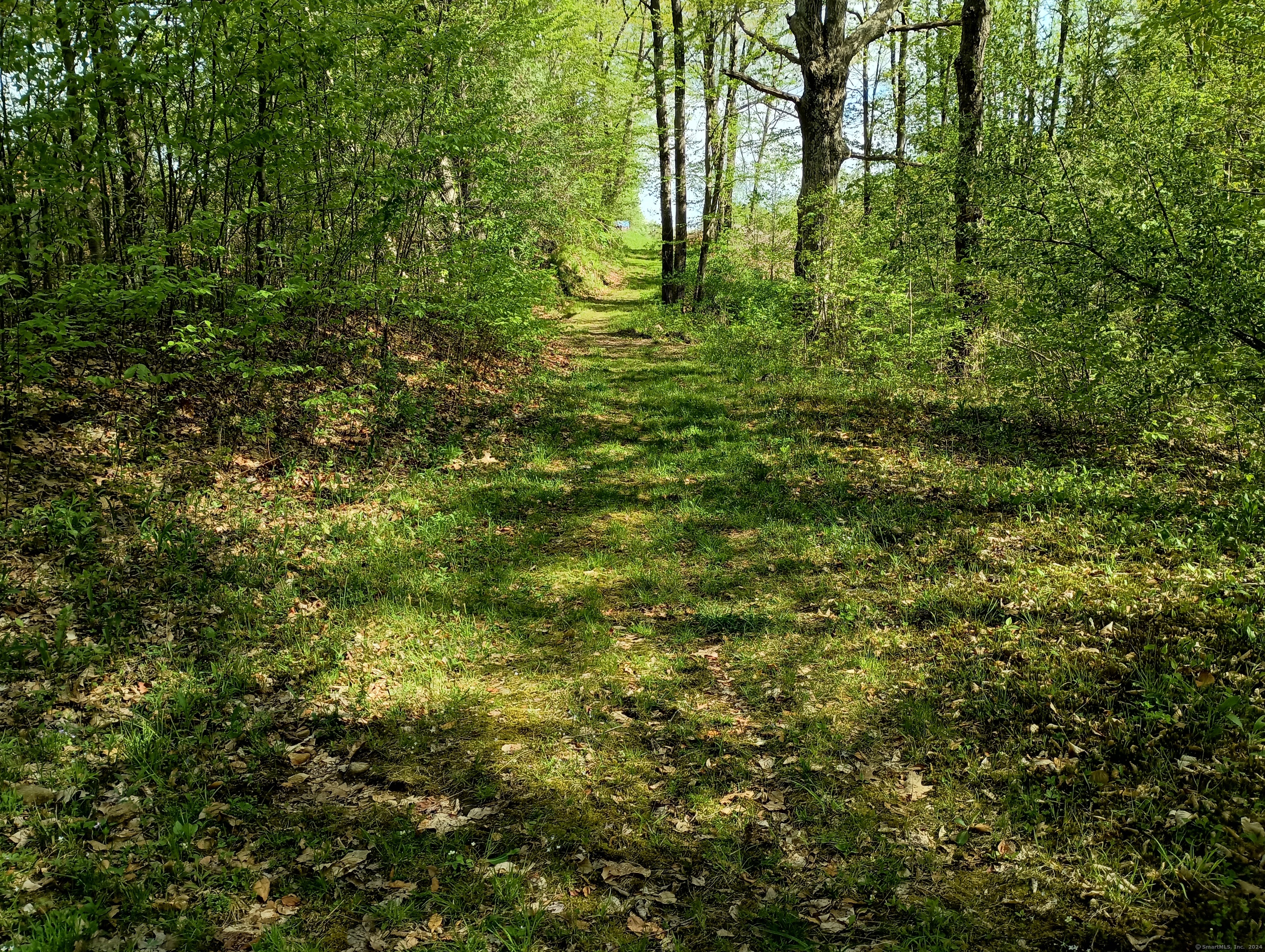 Litchfield Road Watertown CT 06795
