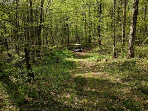 Litchfield Road Watertown CT 06795