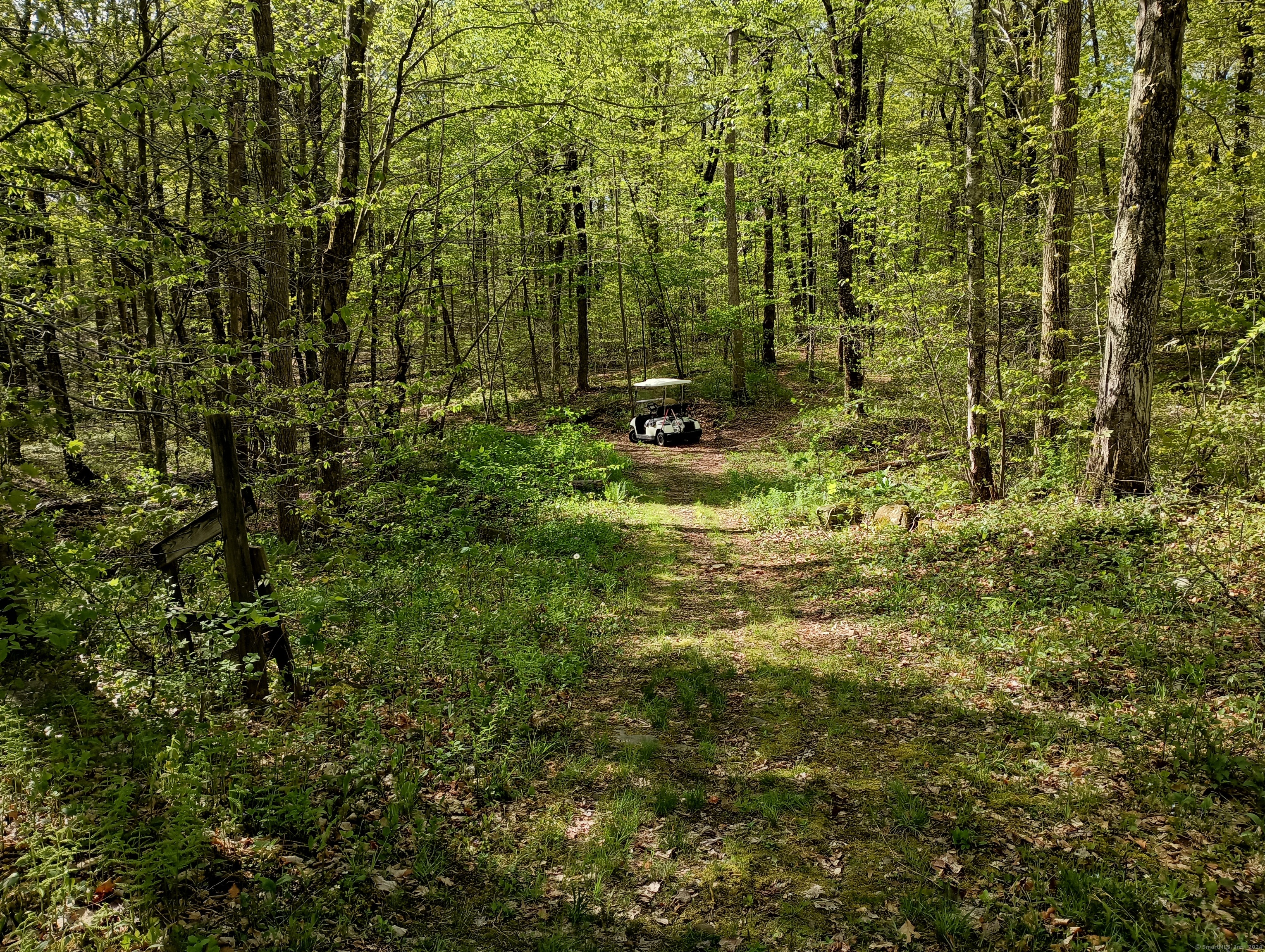 Litchfield Road Watertown CT 06795