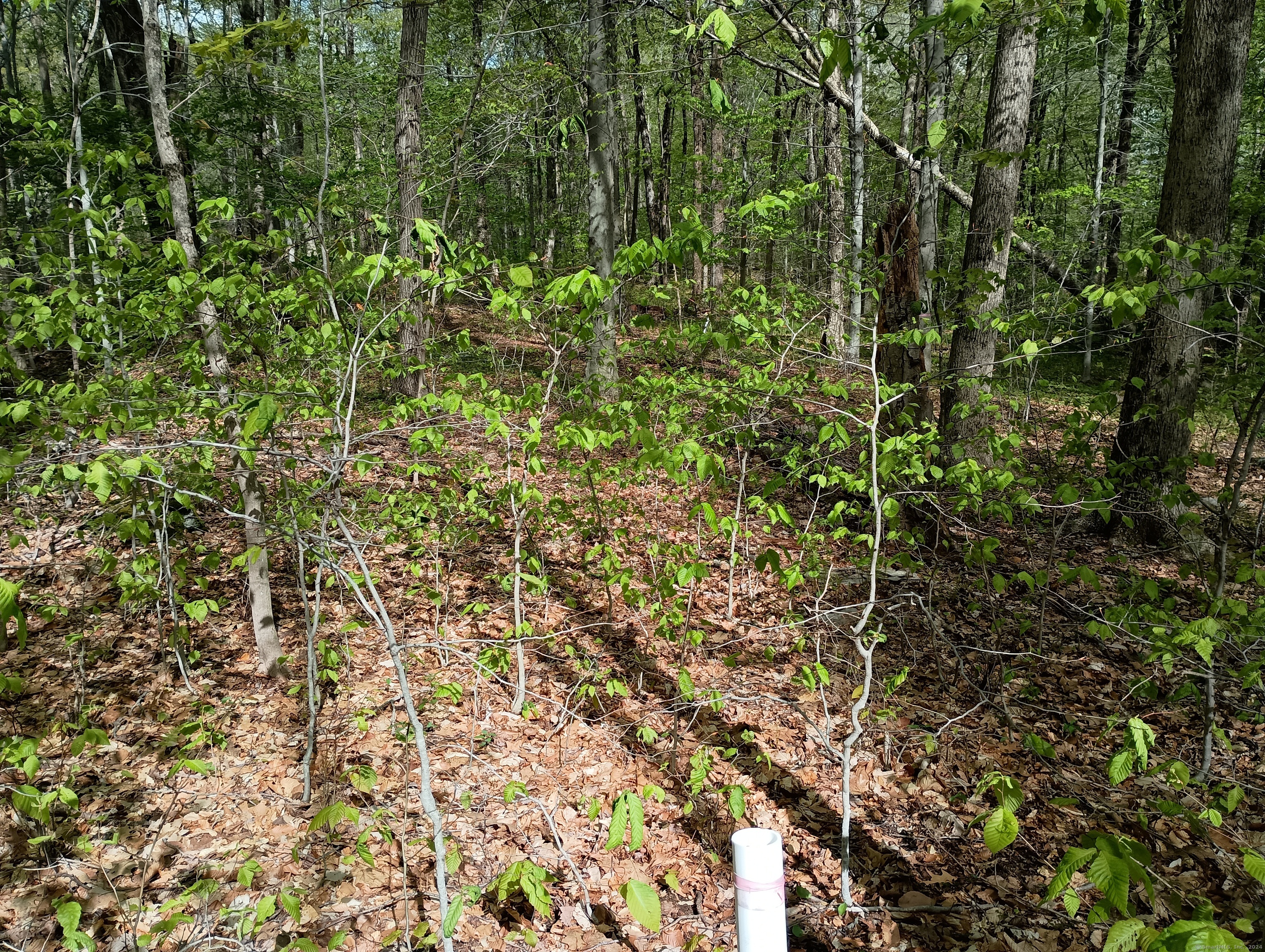 Litchfield Road Watertown CT 06795