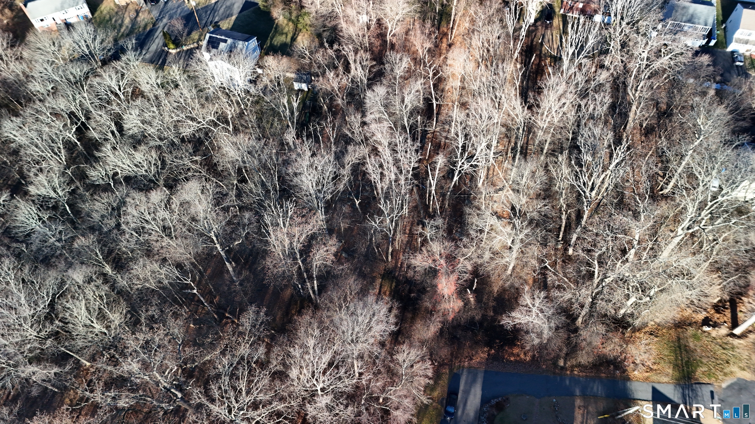 Wells Avenue Shelton CT 06484