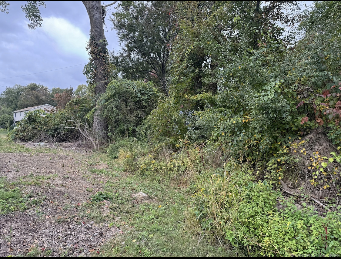 64 Columbine Road Tolland CT 06084