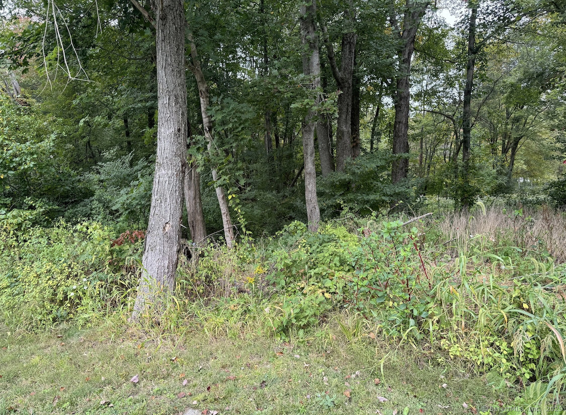 64 Columbine Road Tolland CT 06084