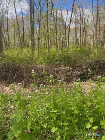0 Clark Hill Road East Haddam CT 06423