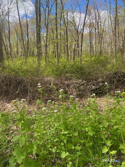 Clark Hill Road East Haddam CT 06423