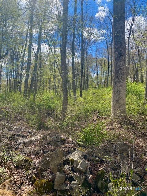 Clark Hill Road East Haddam CT 06423