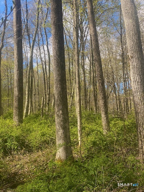 Clark Hill Road East Haddam CT 06423