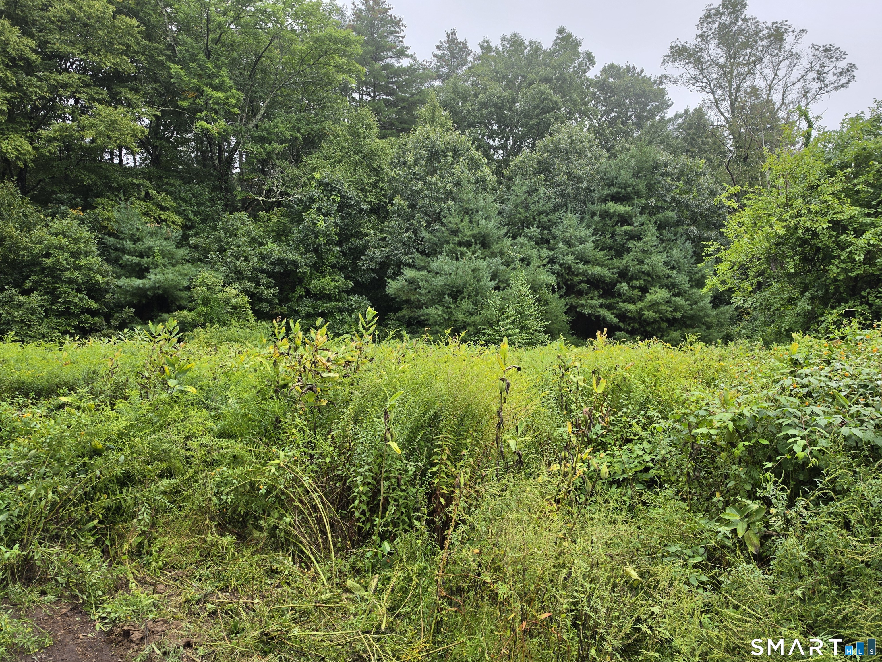 tbd 169 Route Woodstock CT 06281