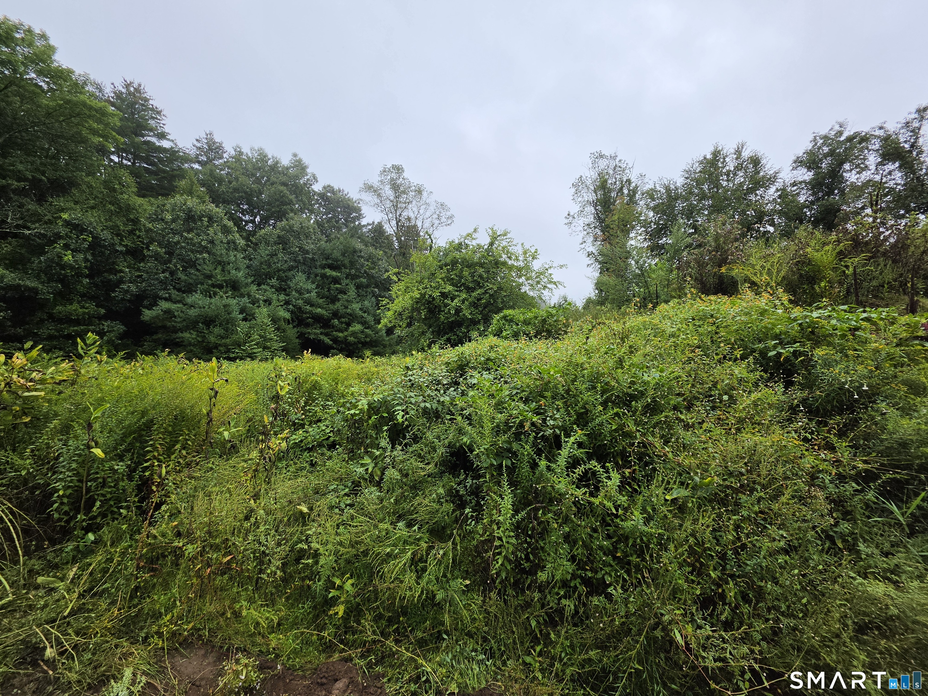 tbd 169 Route Woodstock CT 06281