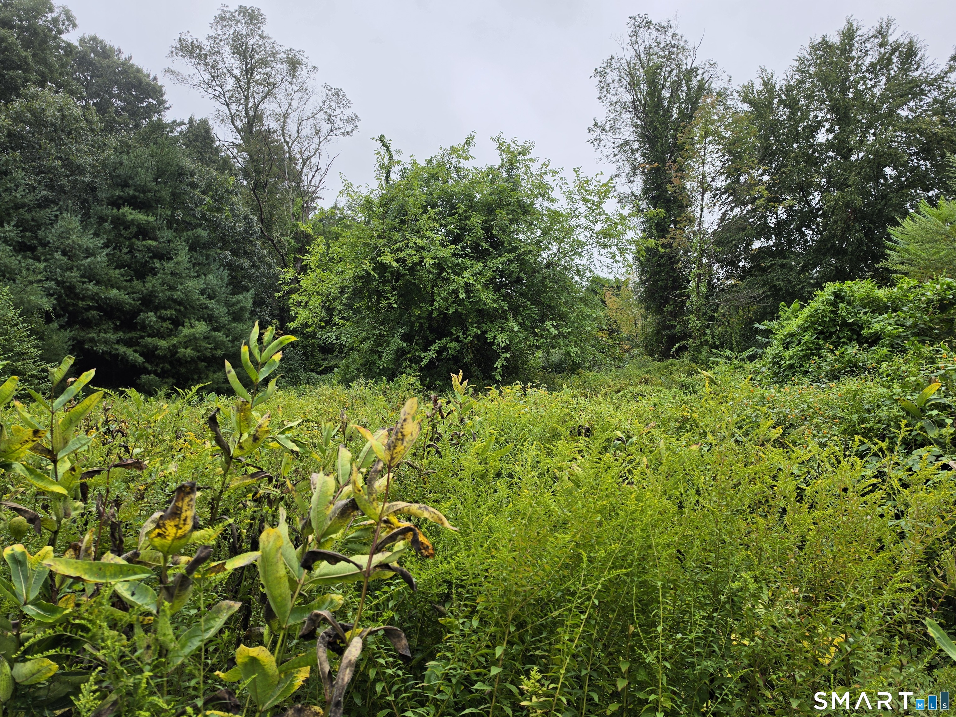 tbd 169 Route Woodstock CT 06281