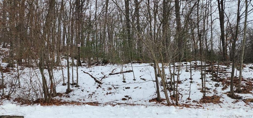 41 Westland Road Avon CT 06001