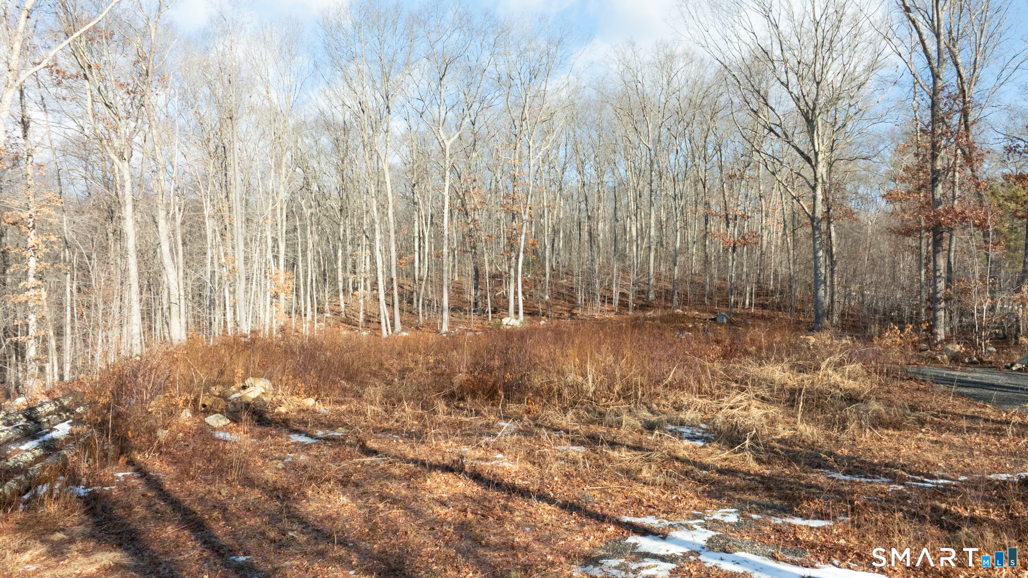 91-A Flatbrook Road East Hampton CT 06424