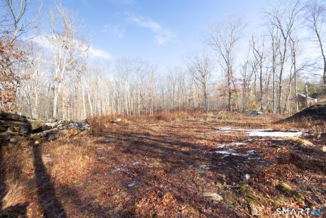 91-A Flatbrook Road East Hampton CT 06424