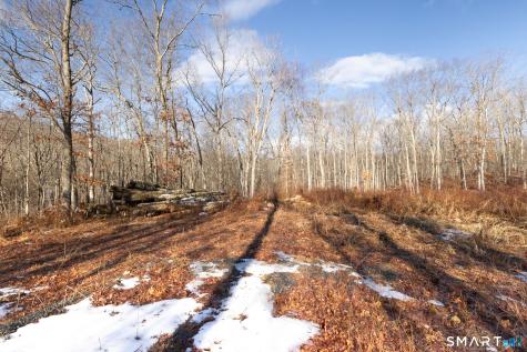 91-A Flatbrook Road East Hampton CT 06424
