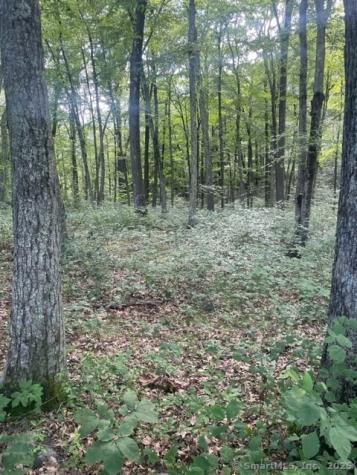 24 Costa Lane Redding CT 06896