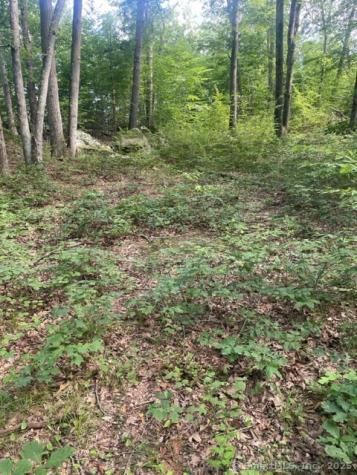 24 Costa Lane Redding CT 06896