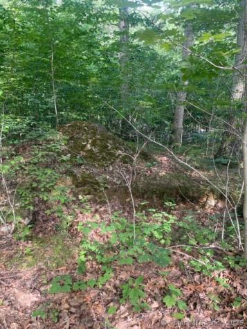 24 Costa Lane Redding CT 06896