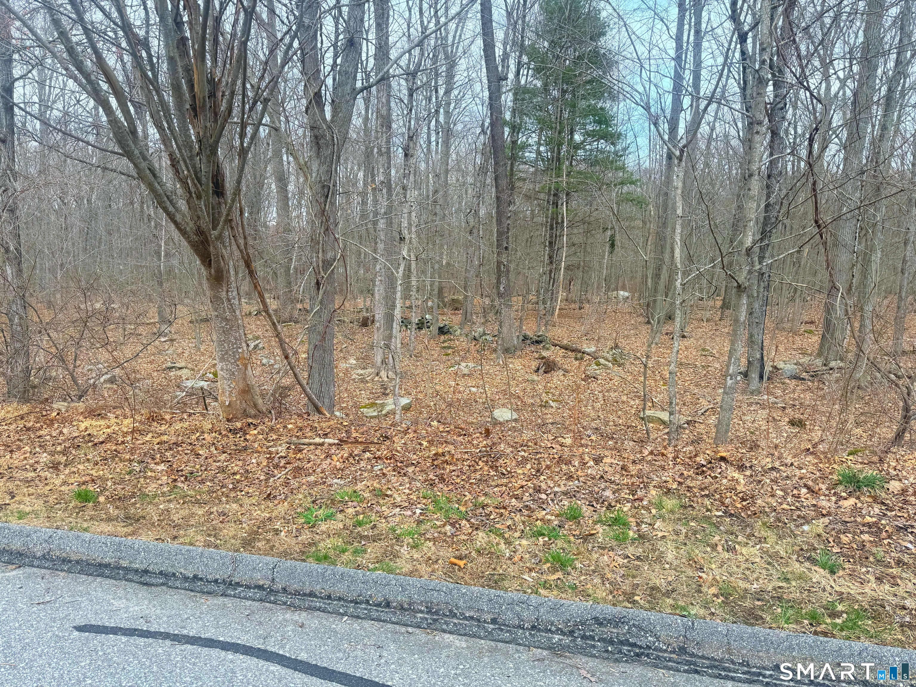 Beacon Hill Drive Mansfield CT 06250