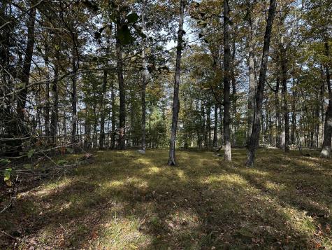 000000 Norfolk Road Winchester CT 06098