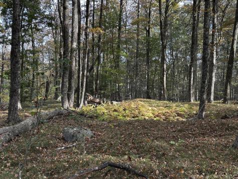 000000 Norfolk Road Winchester CT 06098