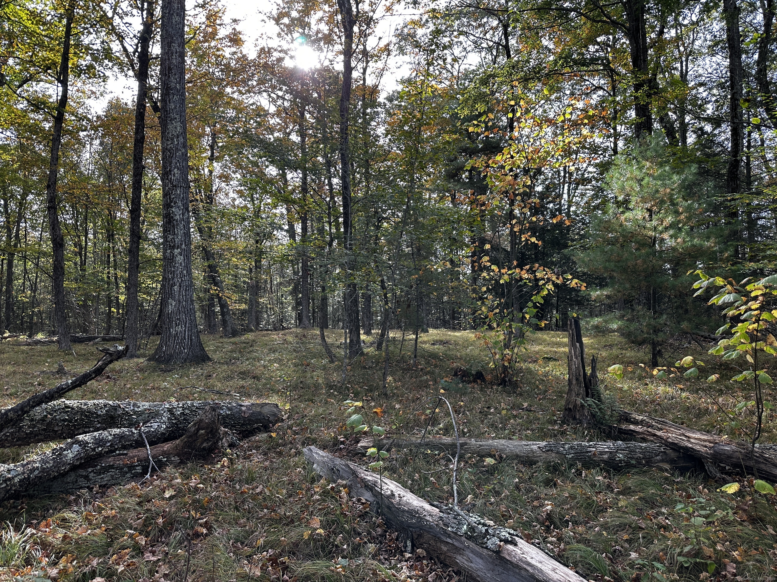 000000 Norfolk Road Winchester CT 06098