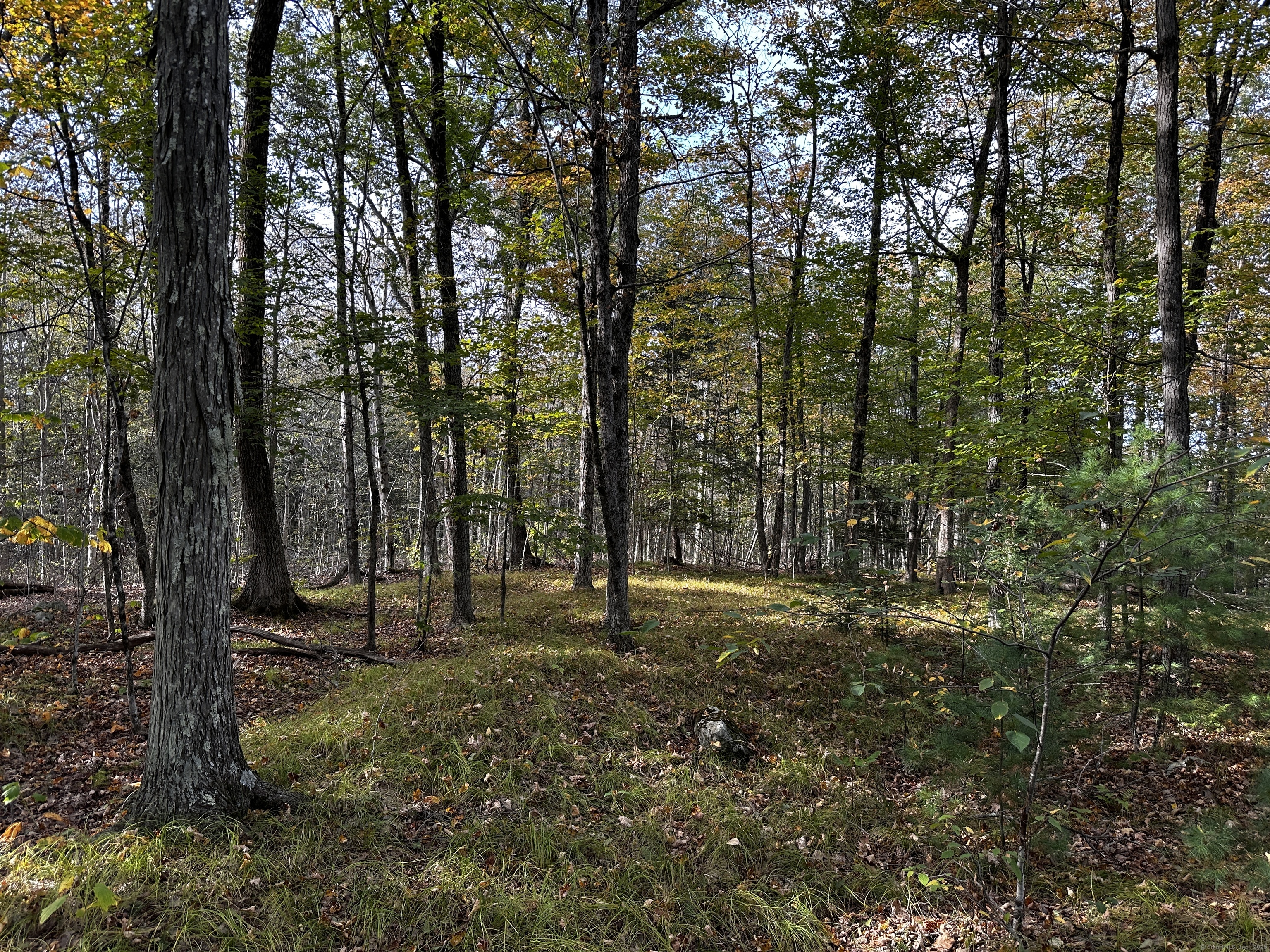 000000 Norfolk Road Winchester CT 06098