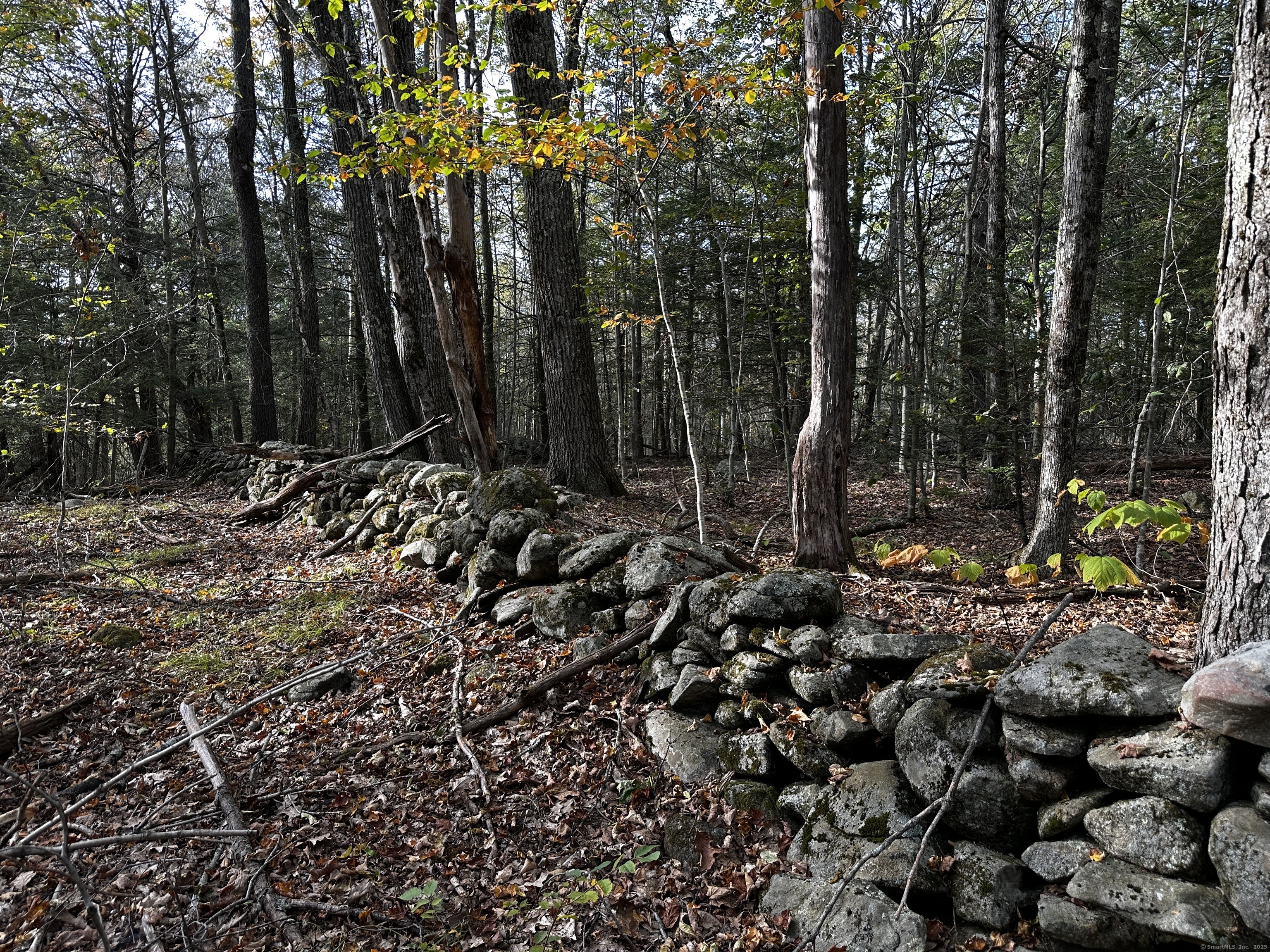 000000 Norfolk Road Winchester CT 06098