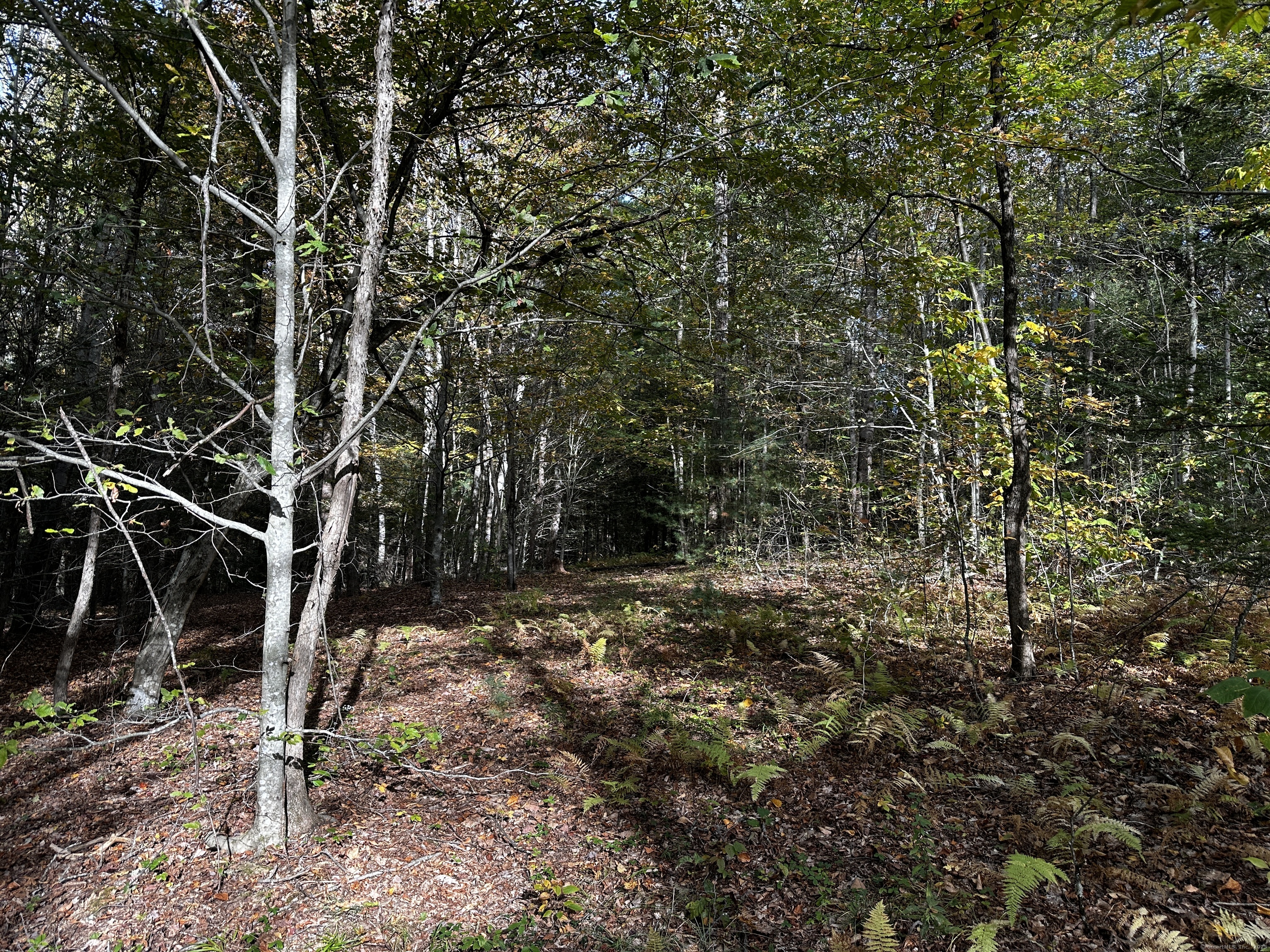 000000 Norfolk Road Winchester CT 06098
