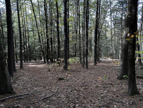 000000 Norfolk Road Winchester CT 06098
