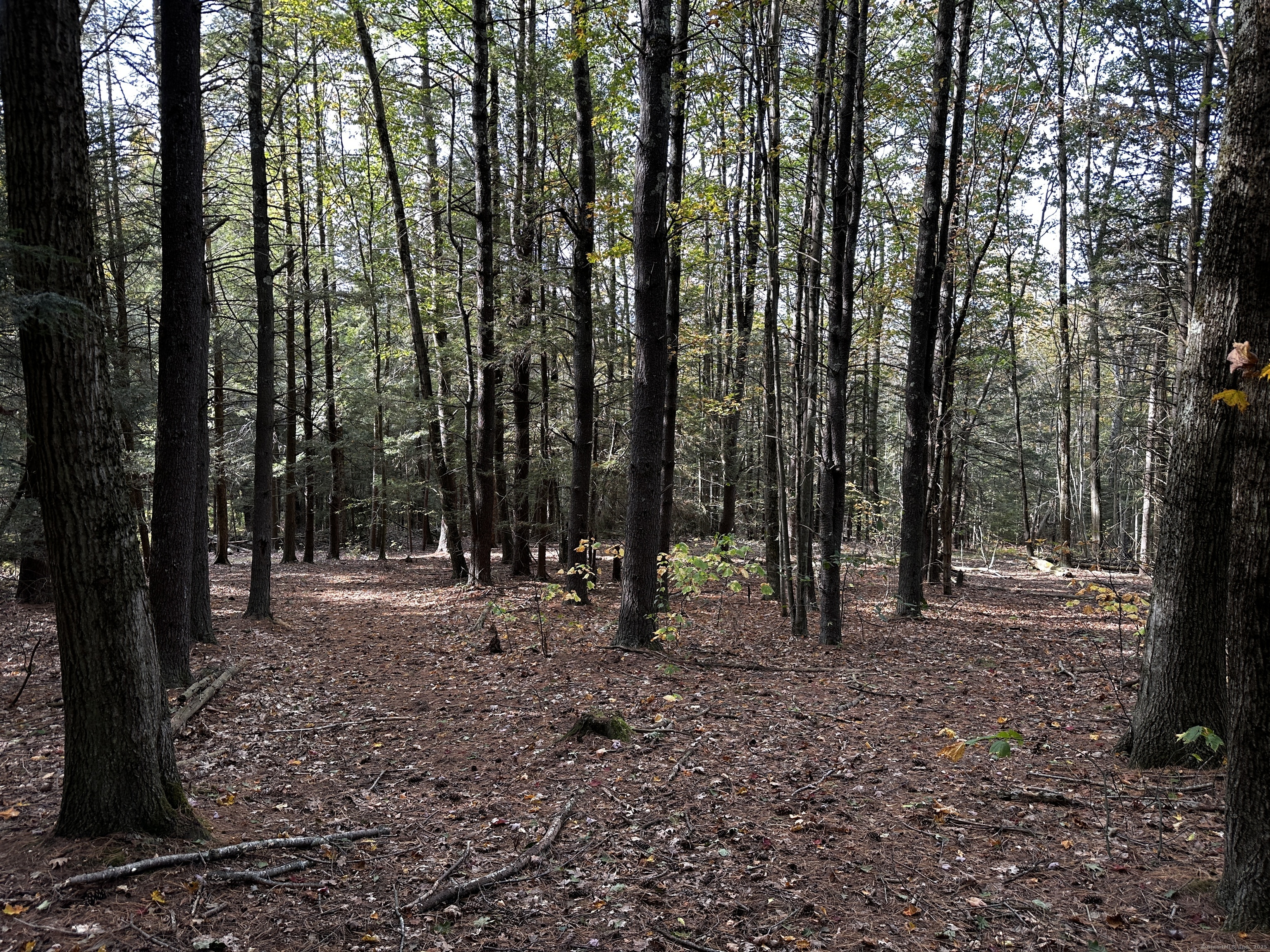000000 Norfolk Road Winchester CT 06098
