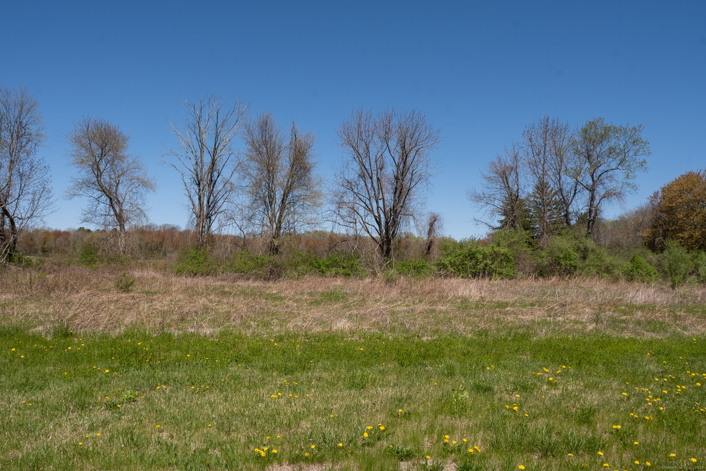 395 Grant Hill (Mill Race Drive) Lot #21 Road Coventry CT 06238