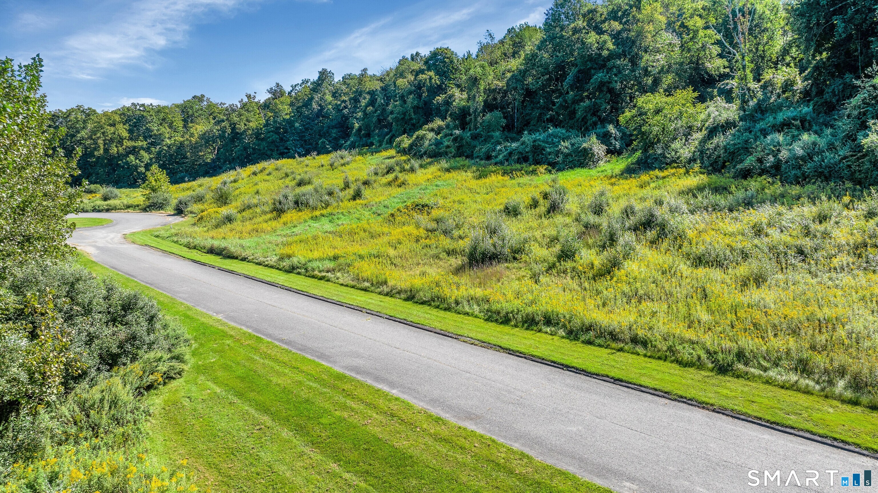 121 Willow Creek Estates Court Southbury CT 06488
