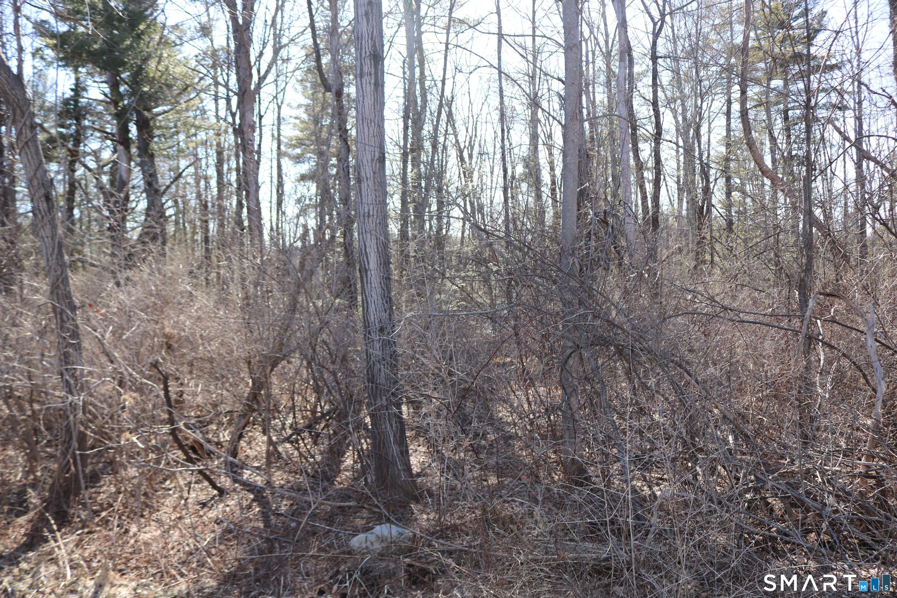 Ashley Drive Goshen CT 06756