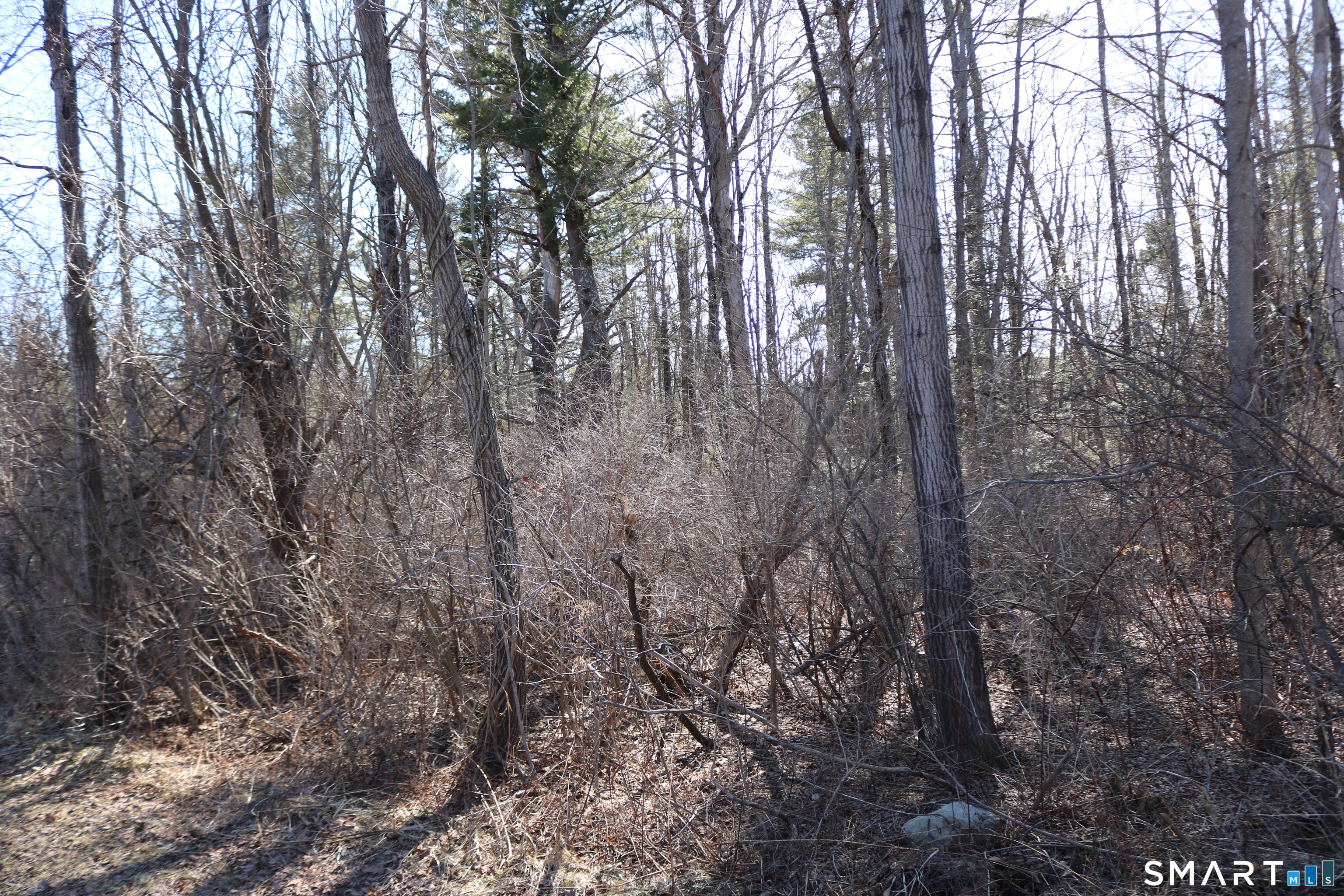 Ashley Drive Goshen CT 06756