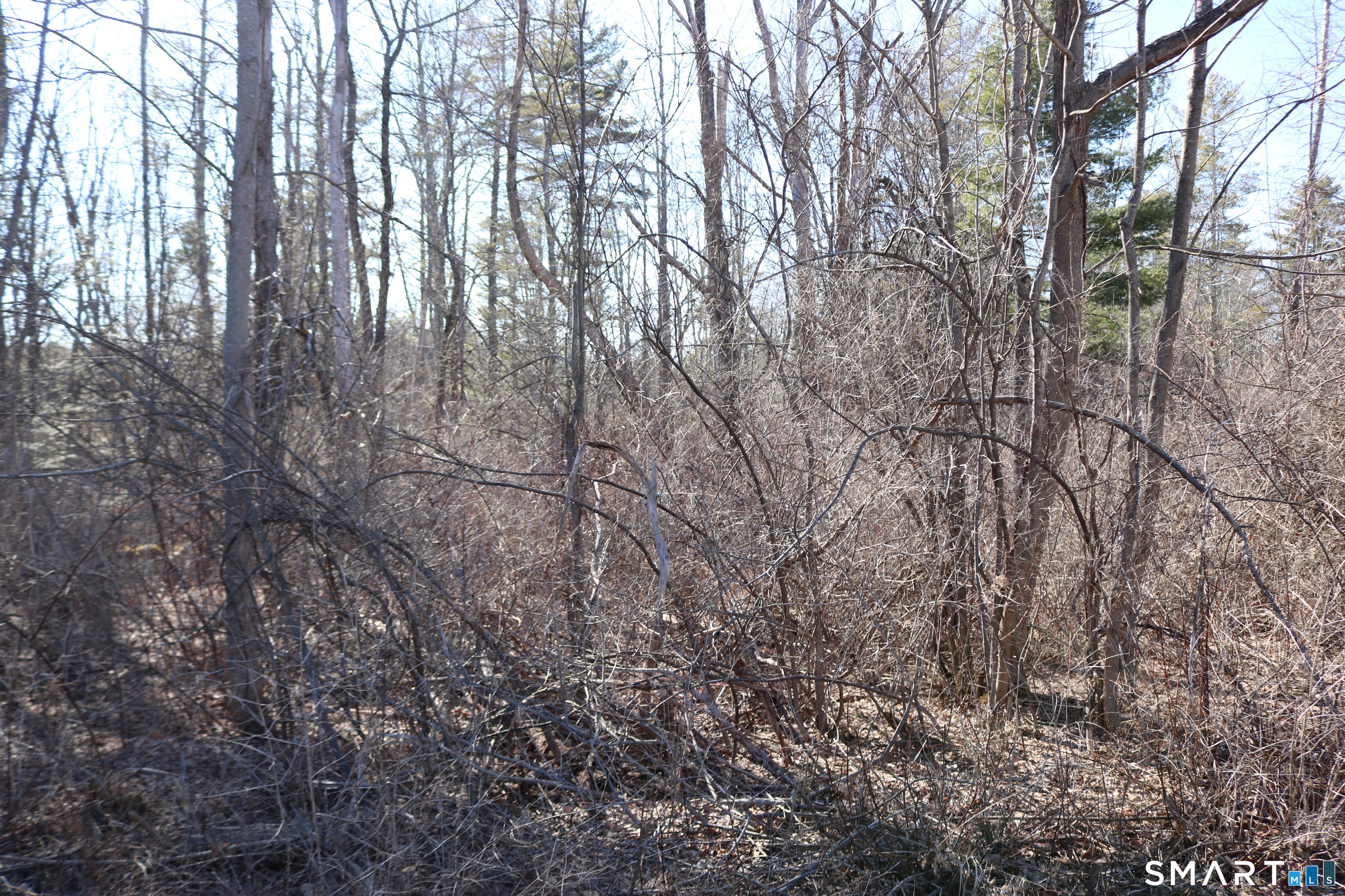 Ashley Drive Goshen CT 06756