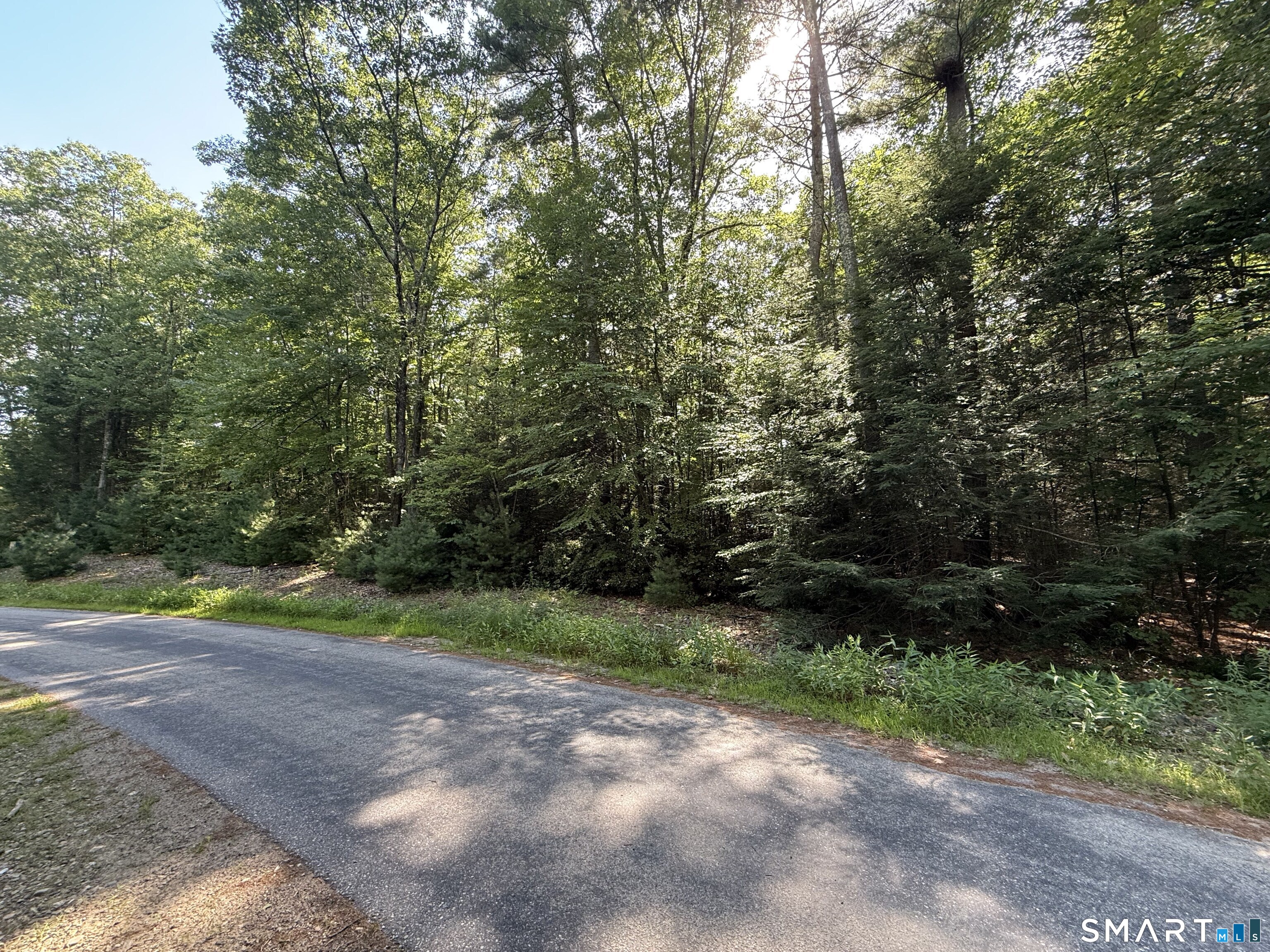 Tayler Trail Woodstock CT 06281