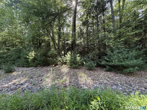 Tayler Trail Woodstock CT 06281