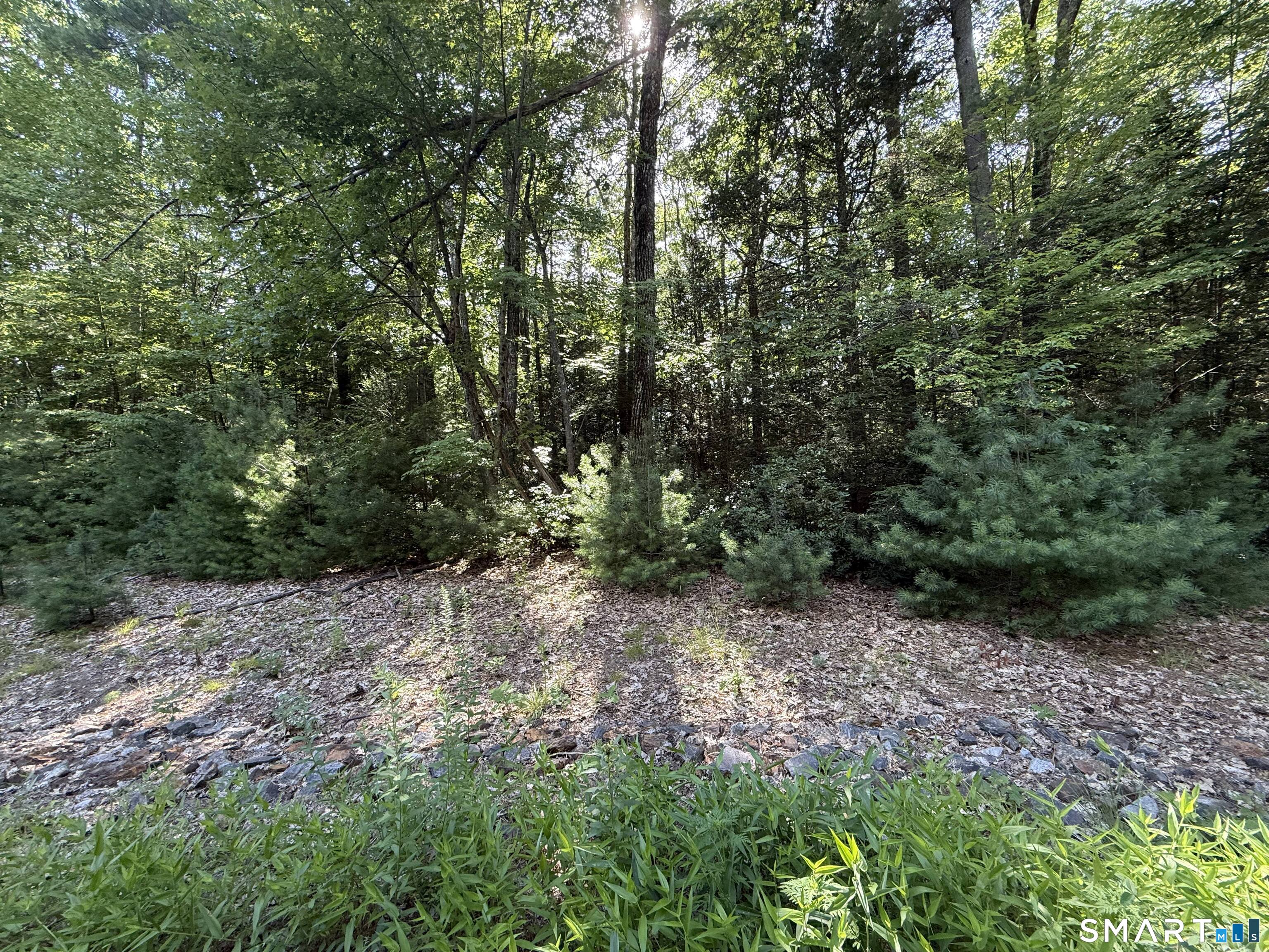 Tayler Trail Woodstock CT 06281