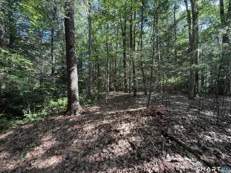 Tayler Trail Woodstock CT 06281