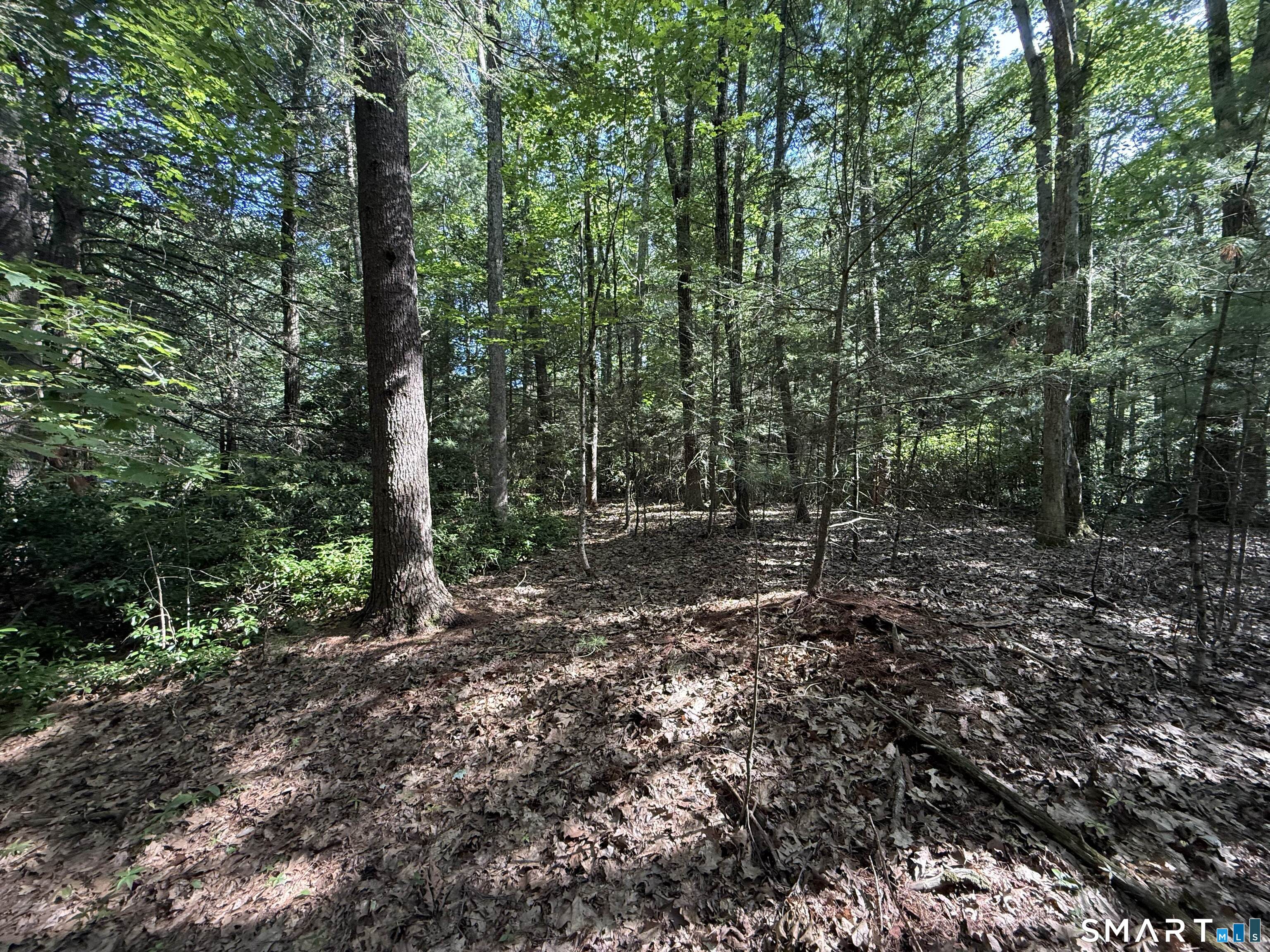 Tayler Trail Woodstock CT 06281
